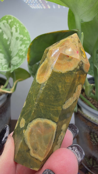 Ocean Jasper® Tower- Analalava District, Sofia Region, Madagascar