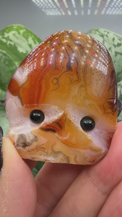 Carnelian Crystal Buddy- Polished Crystal with Eyes