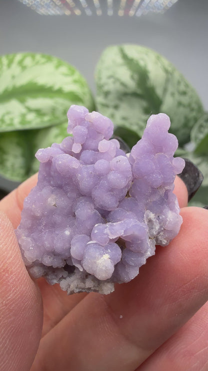 Grape Agate (Quartz var. Amethyst)- Mamuju Regency, West Sulawesi Province, Indonesia