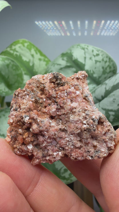 Ephesite- Postmasburg, Northern Cape Province, South Africa