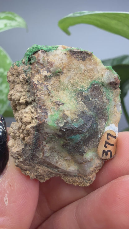 Conichalcite- Jaub Co, Utah