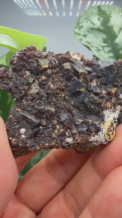 Sphalerite, var "Ruby Jack"- Attributed to Joplin, Missouri