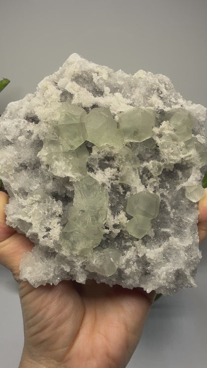 Fluorite with Quartz- Hexigten Banner, Chifeng, Inner Mongolia, China