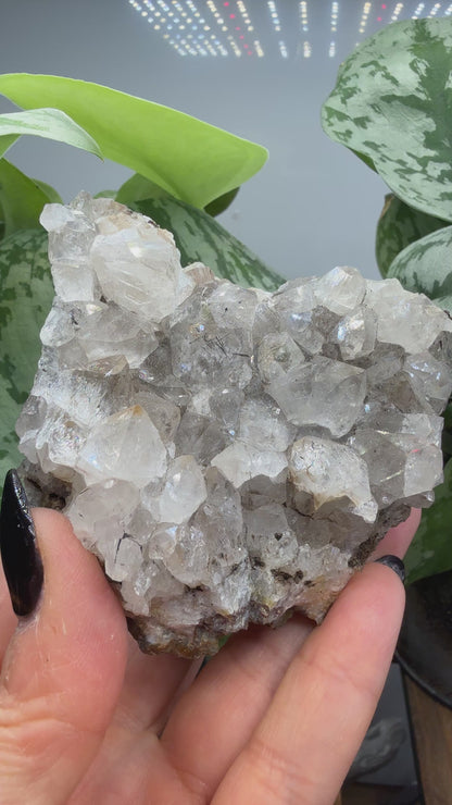 Quartz with Rutile (shaped like Ohio!)- Brazil