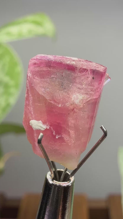 Tourmaline- Água Branca pegmatite, Barra do Salinas, Coronel Murta, Minas Gerais, Brazil