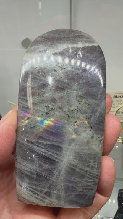 Labradorite Freeform with Rainbow Flash- 3.7" inches