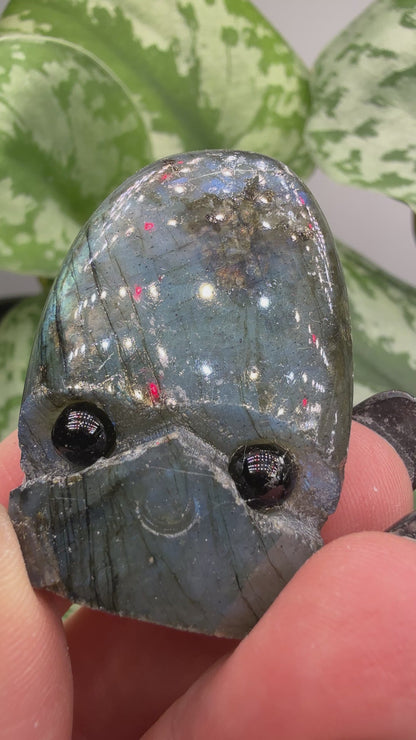 Labradorite Crystal Buddy- Polished Crystal with Eyes