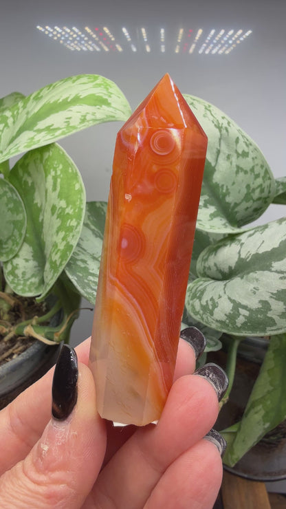 Carnelian Tower