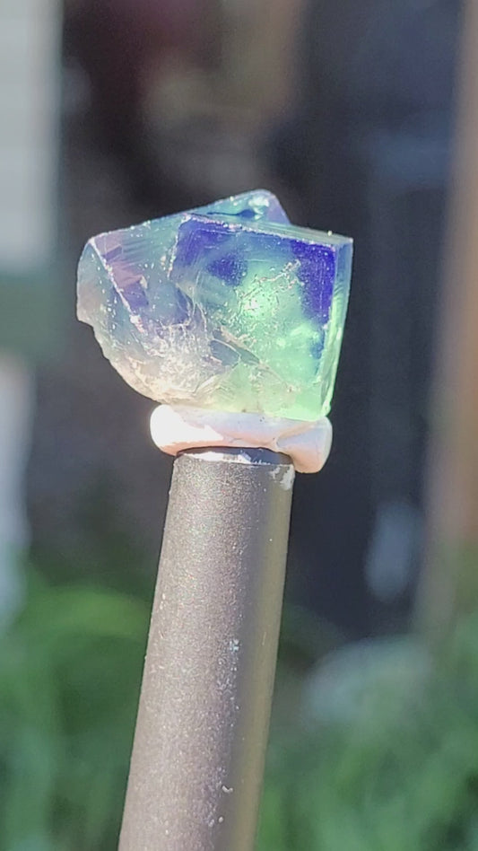 Fluorite- Pocket 42, Diana Maria Mine, Frosterley, Weardale, Co. Durham, England