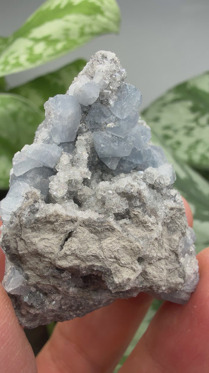 Celestine- Meckley's Quarry, Mandata, Northumberland County, Pennsylvania, USA