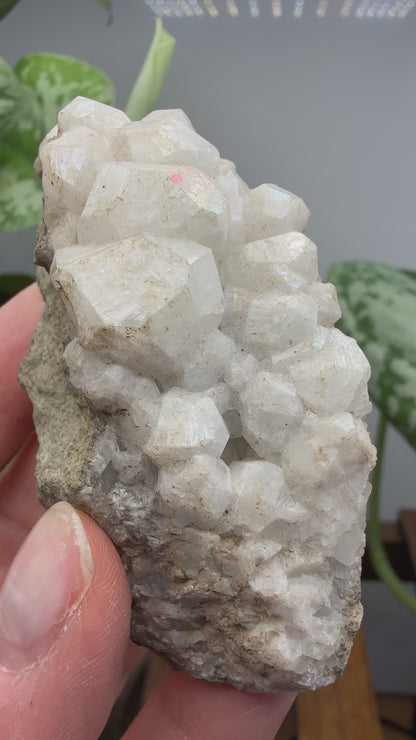 Analcime- Paterson, Passaic County, New Jersey, USA