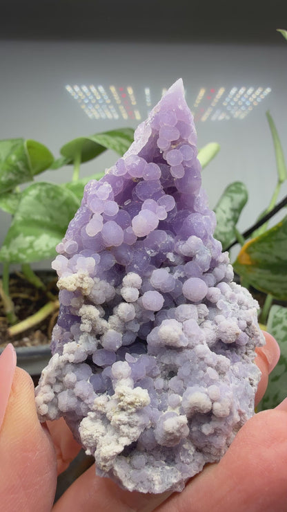 Grape Agate (Quartz var. Amethyst)- Mamuju Regency, West Sulawesi Province, Indonesia