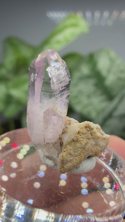 Amethyst- Las Vigas de Ramírez Municipality, Veracruz, Mexico