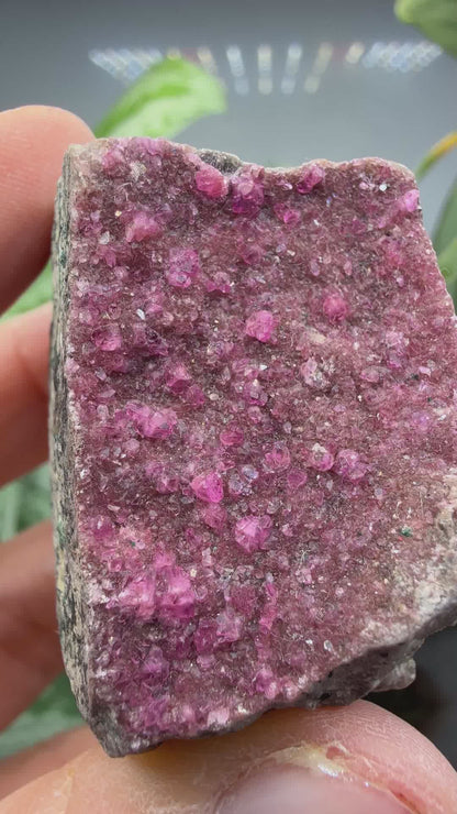 Calcite (Var: Cobalt-bearing Calcite)- Mashamba West Mine, Mutshatsha, Lualaba, DR Congo