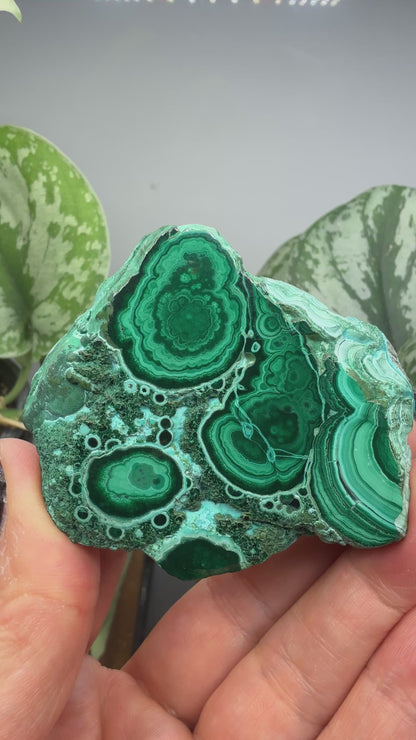 Malachite, Chrysocolla ("Malacholla")- Democratic Republic of the Congo (Slab)