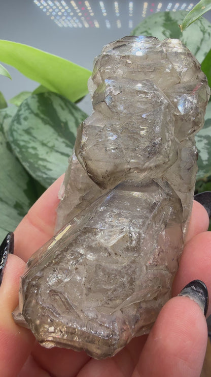 Etched Smoky Quartz, var. 'Crocodile Quartz'- Minas Gerais, Brazil