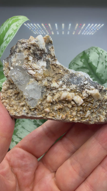 Aquamarine on Muscovite- Pingwu beryl mine, Mt Xuebaoding, Pingwu Co, Sichuan, China
