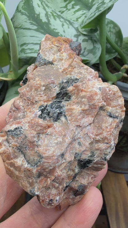 Uraninite Crystals in Feldspar– Hastings County, Ontario, Canada
