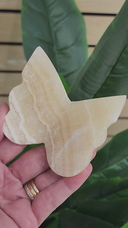 Orange Calcite Butterfly - 3 inches