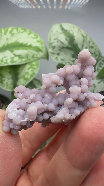 Grape Agate (Quartz var. Amethyst)- Mamuju Regency, West Sulawesi Province, Indonesia