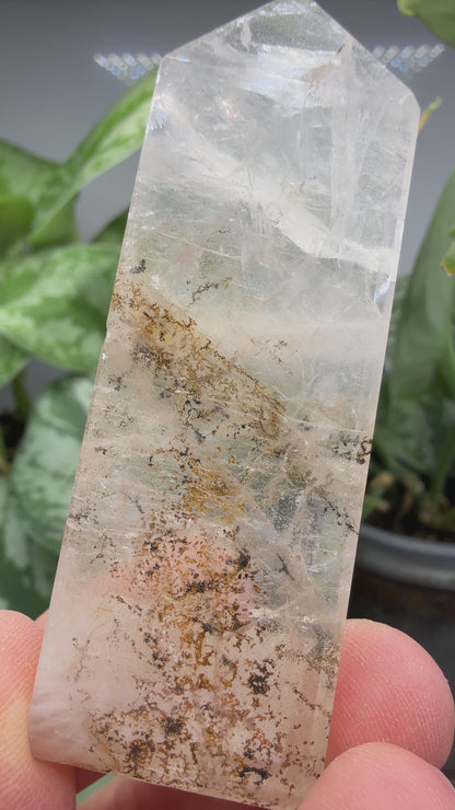 Garden Quartz/Lodolite Point- 2.625" inches tall- DENDRITES!
