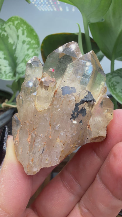 Citrine, var. Kundalini- Luena (Lwena), Democratic Republic of the Congo