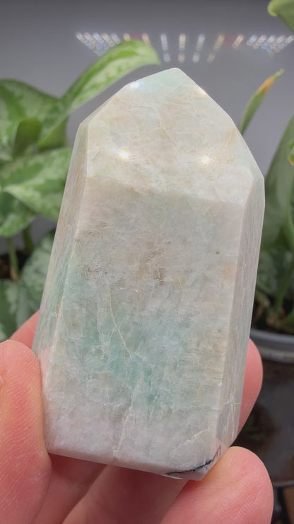 Amazonite Tower/Point (Isis Cut)- 2.25" inch tall