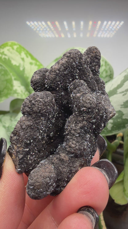 Siderite- Bisbee, Arizona