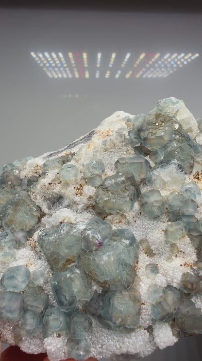 Fluorite, Quartz ("QR Code", "Morandi") – Yongchun County, Fujian Province, China