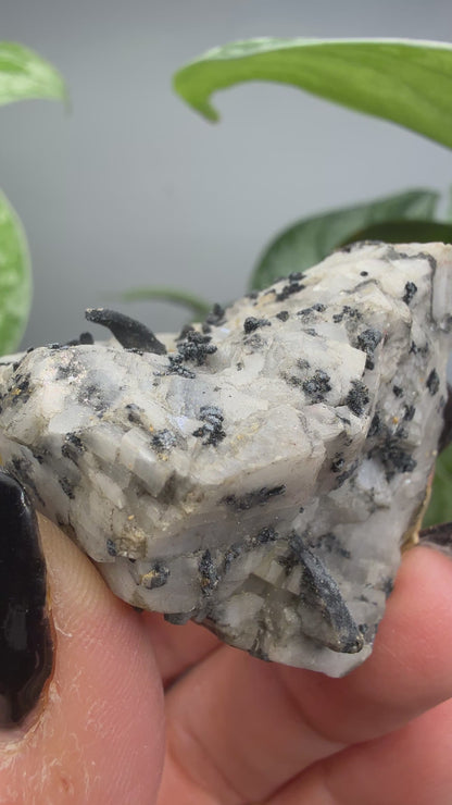 Silver Ore with unid black metallic mineral- Colorado, USA