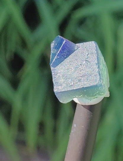 Fluorite- Pocket 42, Diana Maria Mine, Frosterley, Weardale, Co. Durham, England