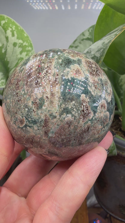 Orbicular Rhyolite Sphere- 2.5" inches- Mexico