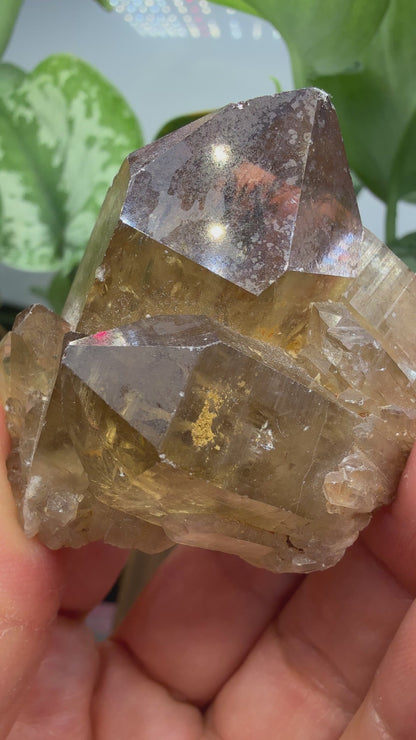 Citrine, var. Kundalini- Luena (Lwena), Democratic Republic of the Congo