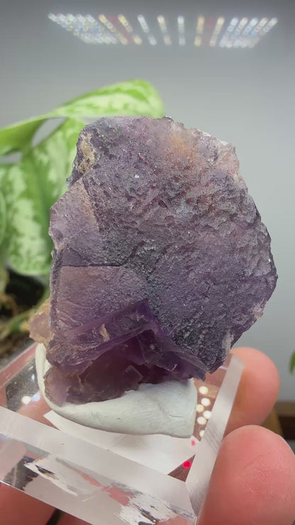 Fluorite (Dissolution)- Cave-in-Rock, Hardin County, Illinois, USA