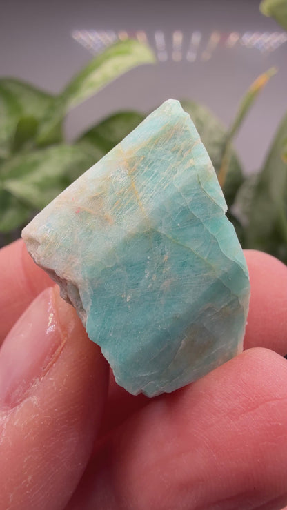Amazonite- Lake George area, Pikes Peak, Teller County, Colorado, USA