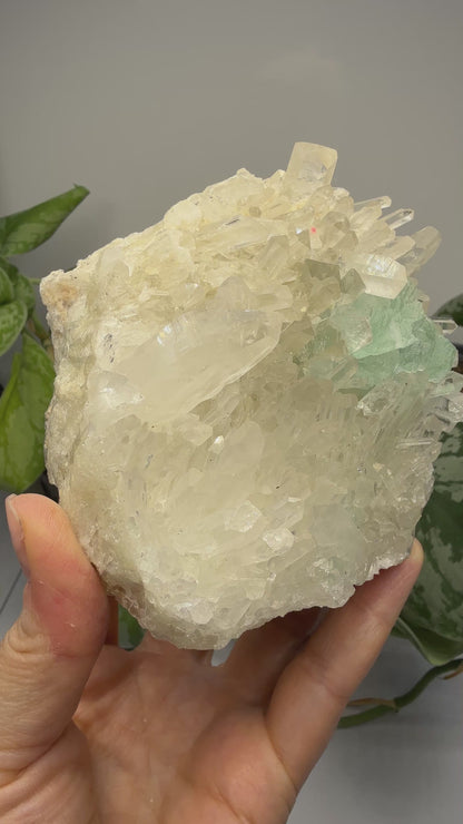 Fluorite on Quartz- Pasto Bueno Mining District, Pampas District, Pallasca Province, Áncash, Peru