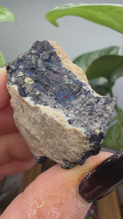Covellite- East Colusa Mine, Butte Mining District, Silver Bow County, Montana, USA
