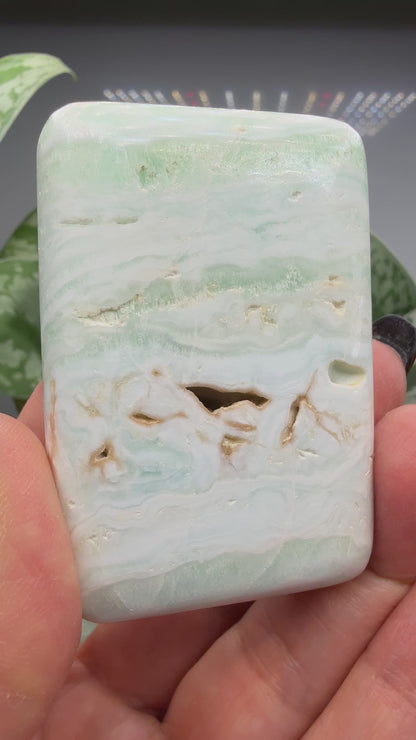 Caribbean Calcite Palm (Soap Shaped)