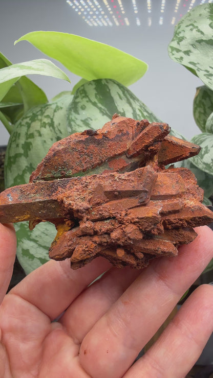 Red Quartz- Tinejdad, Er Rachidia Province, Meknes-Tafilalet Region, Morocco