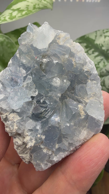 Celestine (Celestite) Geode/Cluster- Madagascar