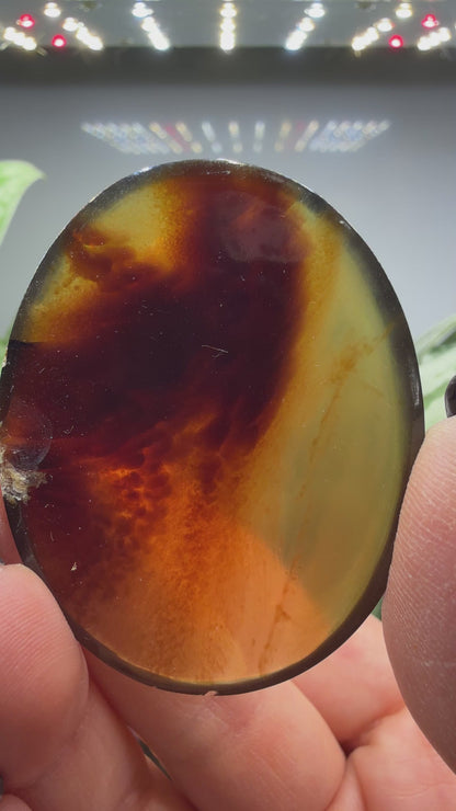 Amber Worry Stone- Indonesia