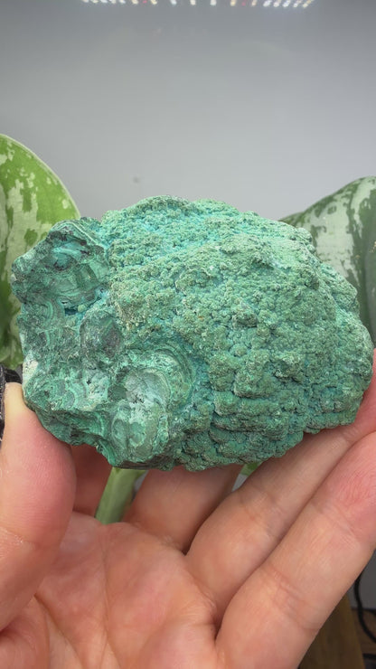 Chrysocolla- Democratic Republic of the Congo