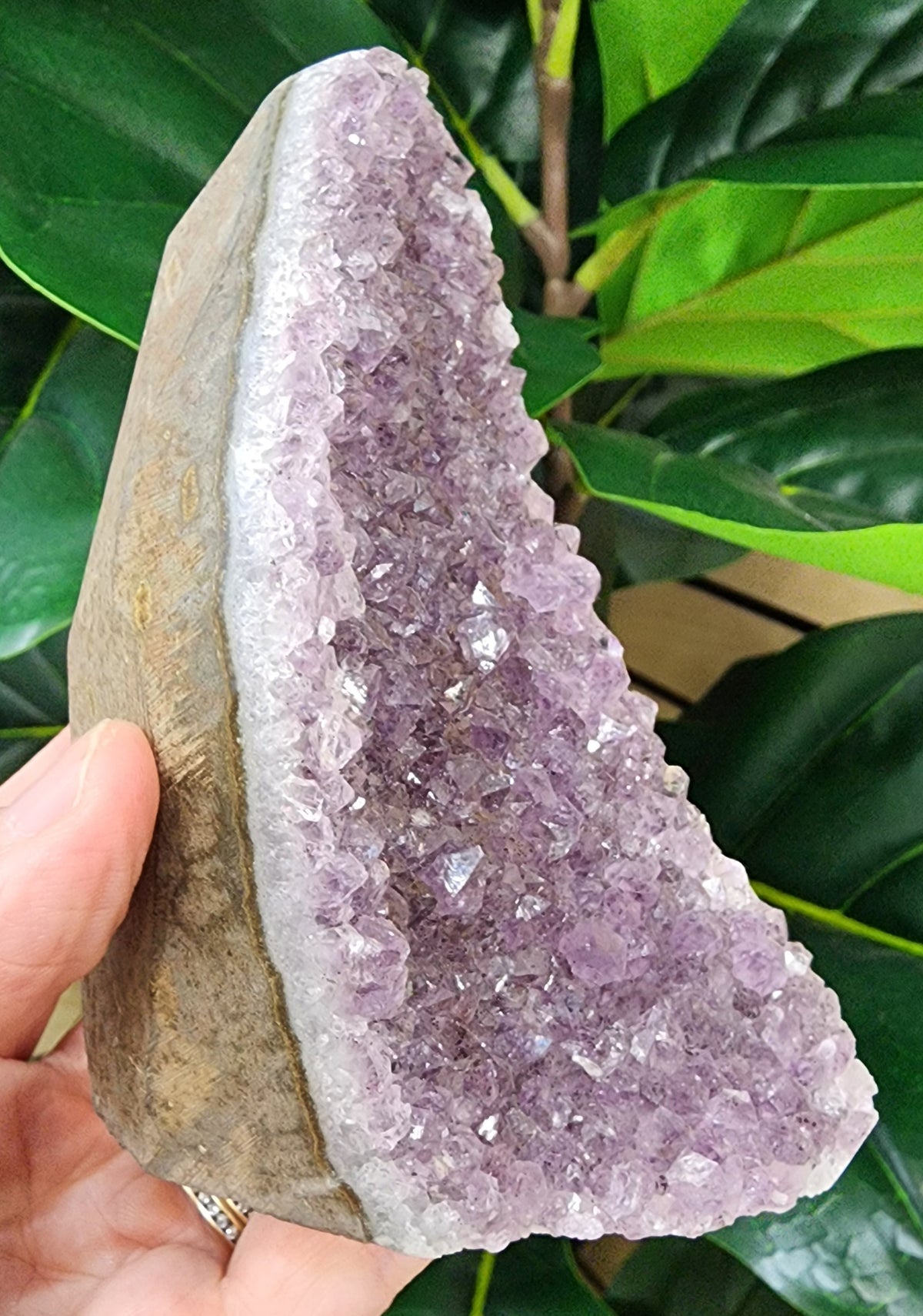 Amethyst Druzy Cut Base - 4 inches