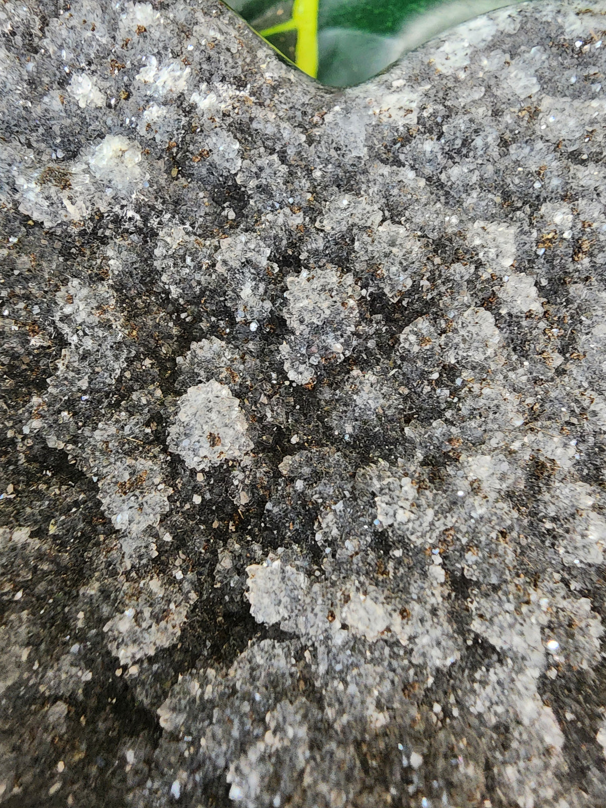 Amethyst Druzy Heart - 4.3 inches