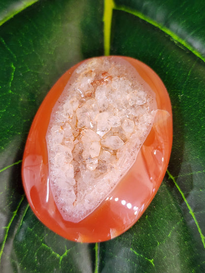 Druzy Carnelian Palm Stone