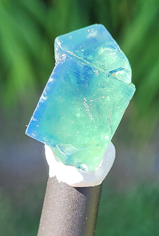 Fluorite- Pocket 42, Diana Maria Mine, Frosterley, Weardale, Co. Durham, England