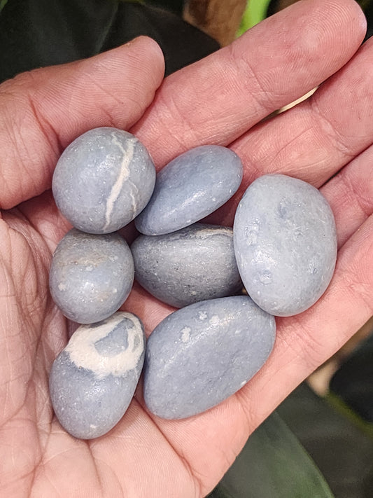 Angelite Tumbles