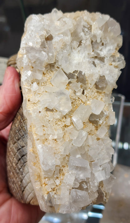 Calcite Dragon Carving - 4.8 inches