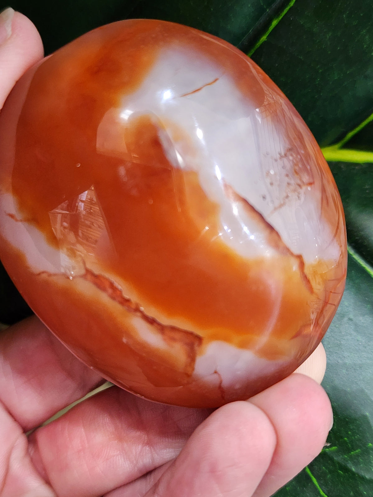 Druzy Carnelian Palm Stone