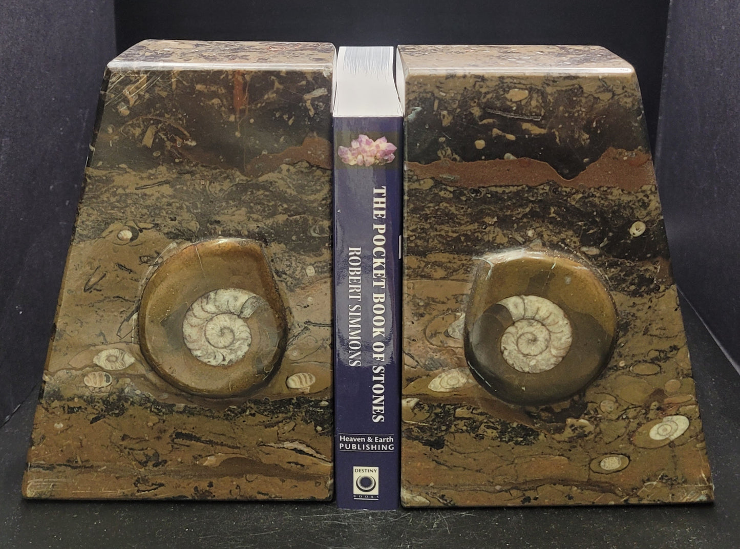 Ammonite and Orthoceras Fossil Bookends